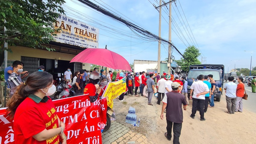 平陽省頻發房地產領域犯罪舉報