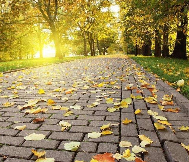 初秋的美，靜悄悄