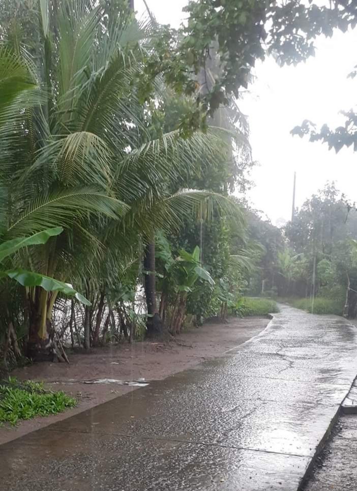 秋雨後的清晨。