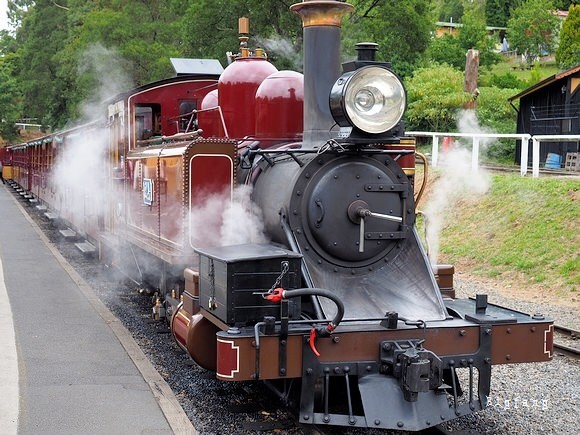 澳大利亞帕芬比利小火車鐵路 ảnh 1