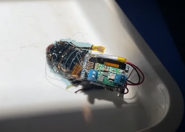 （示意圖源：互聯網）