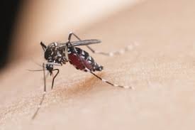 （示意圖源：互聯網）