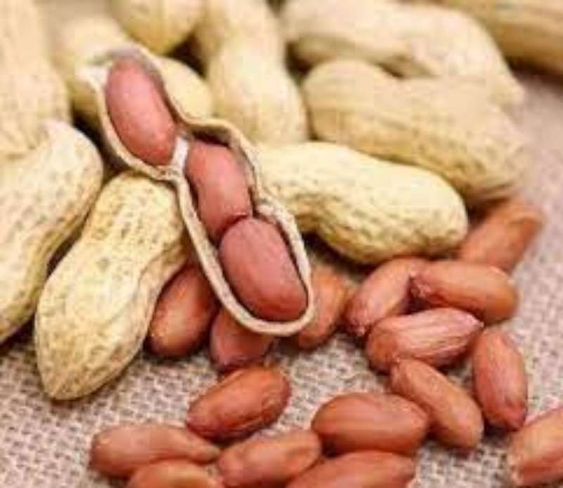 （示意圖源：互聯網）