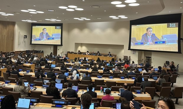 越南常駐聯合國代表團團長鄧黃江大使在會上發表講話。（圖：越通社）