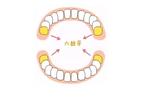 ６歲前不用管牙齒？