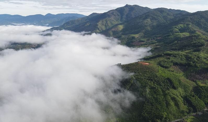 到慶山“獵雲”宛如走進仙境。