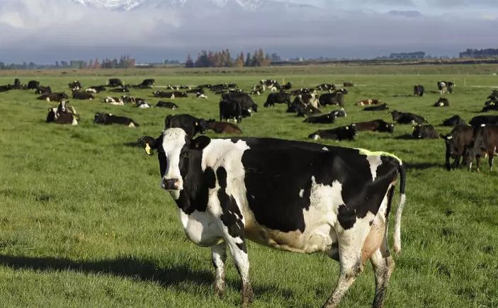 （示意圖：互聯網）