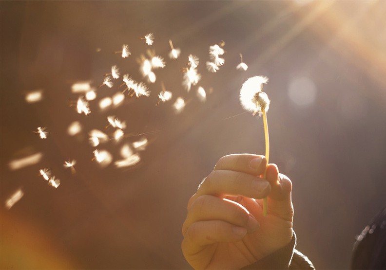 （示意圖：互聯網）