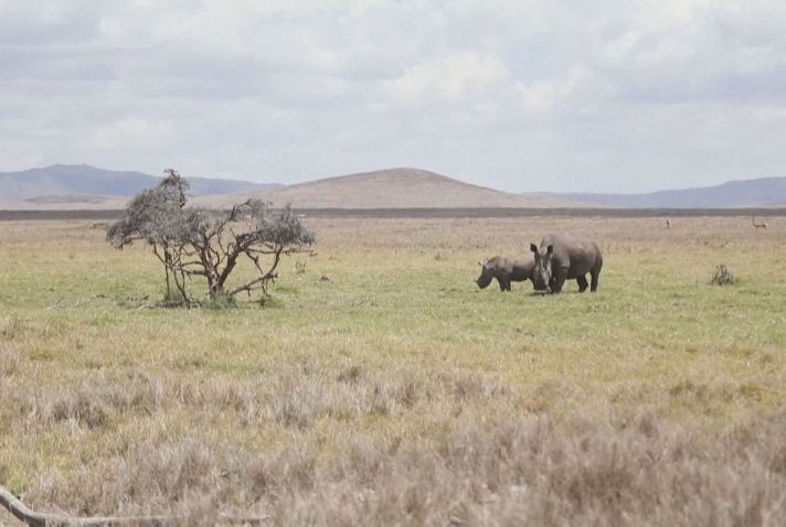 （示意圖：互聯網）