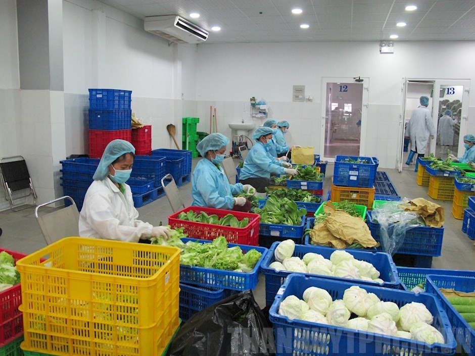 合作社在包裝農產品。 
