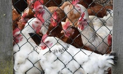 （示意圖：互聯網）