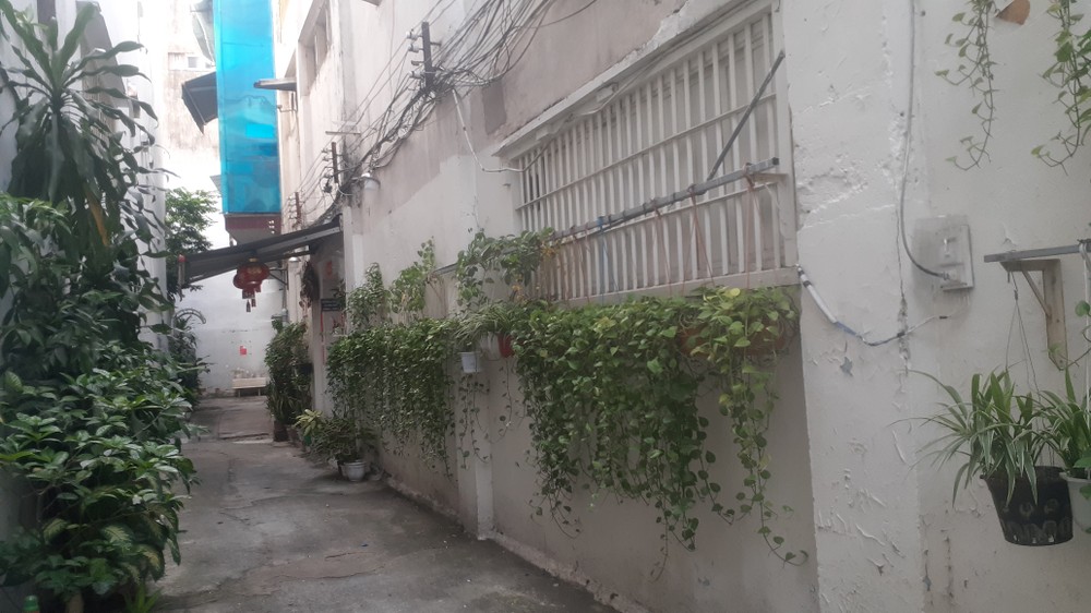 綠色巷道宜推廣