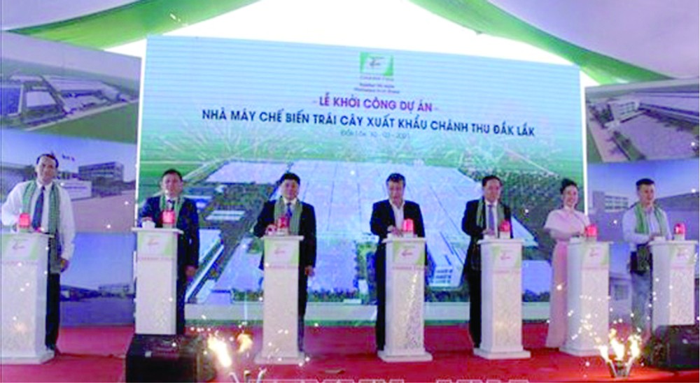 达乐省最大规模水果出口加工厂动工