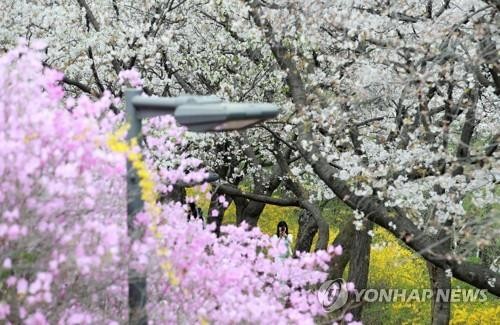 韩今春平均气温再创历史新高
