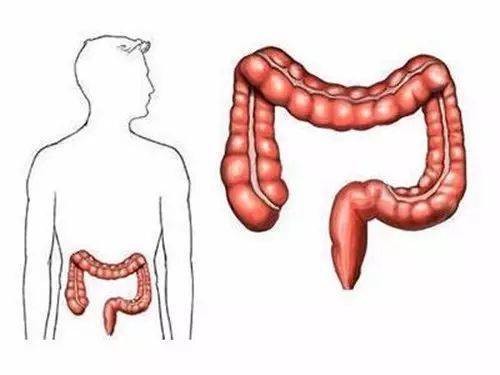 肛肠病常见症状表现