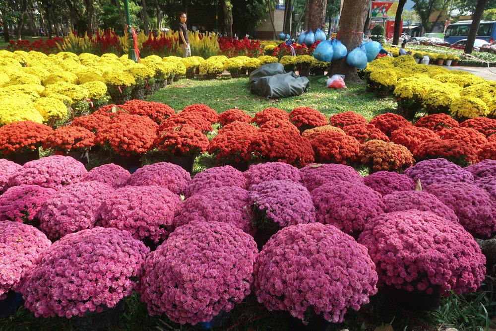 春花上市百花争艳