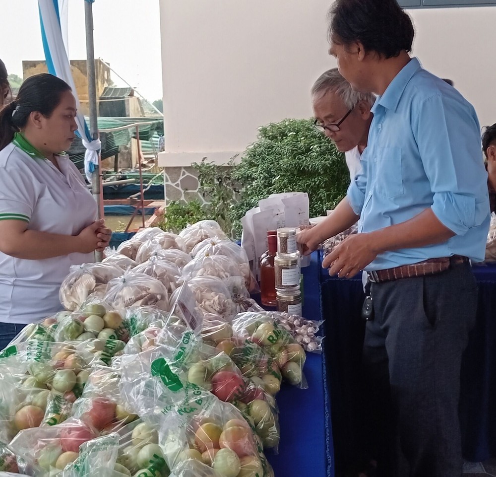 市农民协会各俱乐部展示的典型产品。