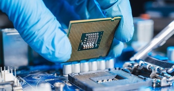 2024年8月10日简讯