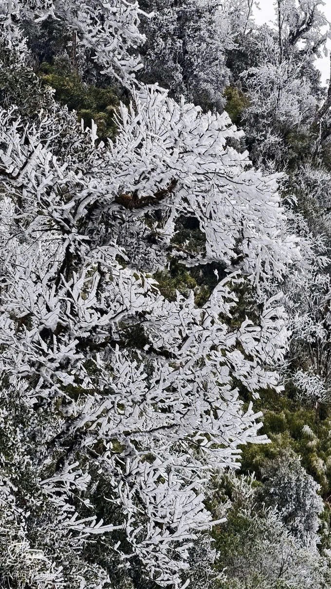 安沛省山区出现冰雪。