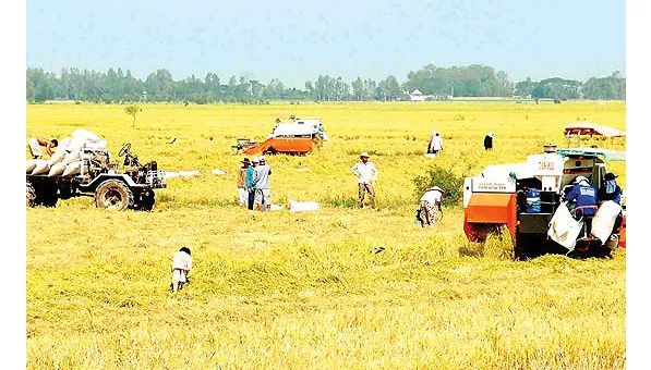 Tổng kết thành tựu 10 năm về nông nghiệp, nông dân, nông thôn ảnh 1