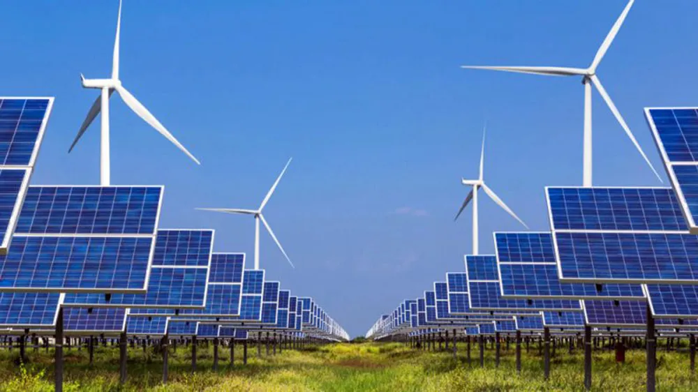 Lo doanh nghiệp Việt “chết trên sân nhà” vì hàng nước ngoài “đội lốt” ảnh 4