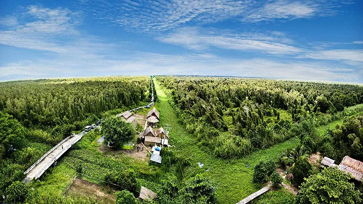 Rừng tràm U Minh. Ảnh: THANH QUANG