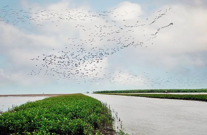 Công bố Điều chỉnh quy hoạch xây dựng vùng ĐBSCL đến năm 2030 ảnh 3