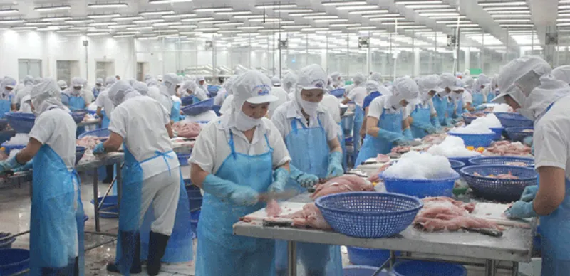 VASEP kiến nghị Chính phủ gỡ khó cho thủy sản nhập khẩu ảnh 1