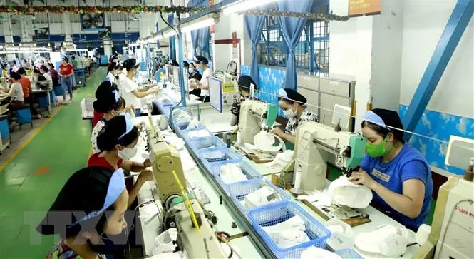 5 vấn đề doanh nghiệp mong chờ Chính phủ giải quyết ảnh 1