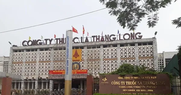 Phát hiện hàng loạt sai phạm tại Công ty Thuốc lá Thăng Long ảnh 1