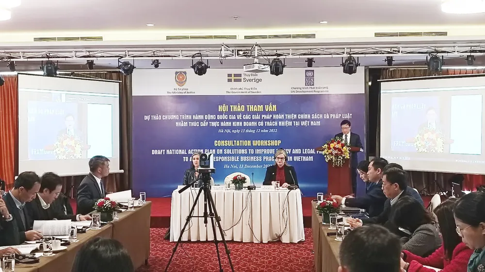 Nâng cao năng lực cạnh tranh quốc gia bằng kinh doanh có trách nhiệm ảnh 1