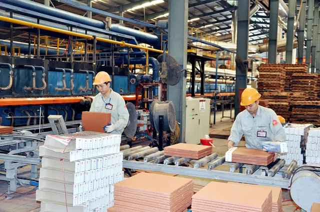 Dù có nhiều cải thiện trong những năm qua, song nhìn chung khu vực KTTN của Việt Nam vẫn còn phát triển manh mún, rời rạc, nhỏ lẻ, chưa tương xứng với tiềm năng. Ảnh minh họa