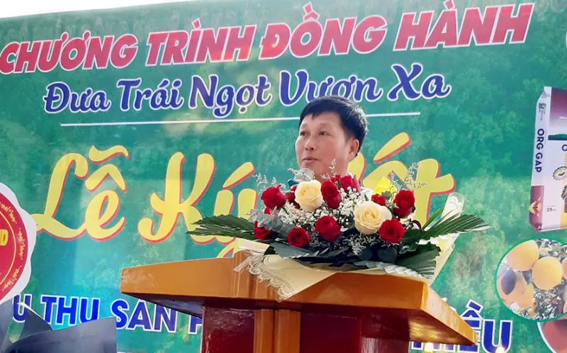 Doanh nghiệp đến tận vườn ký kết bao tiêu vải thiều ngay từ đầu vụ