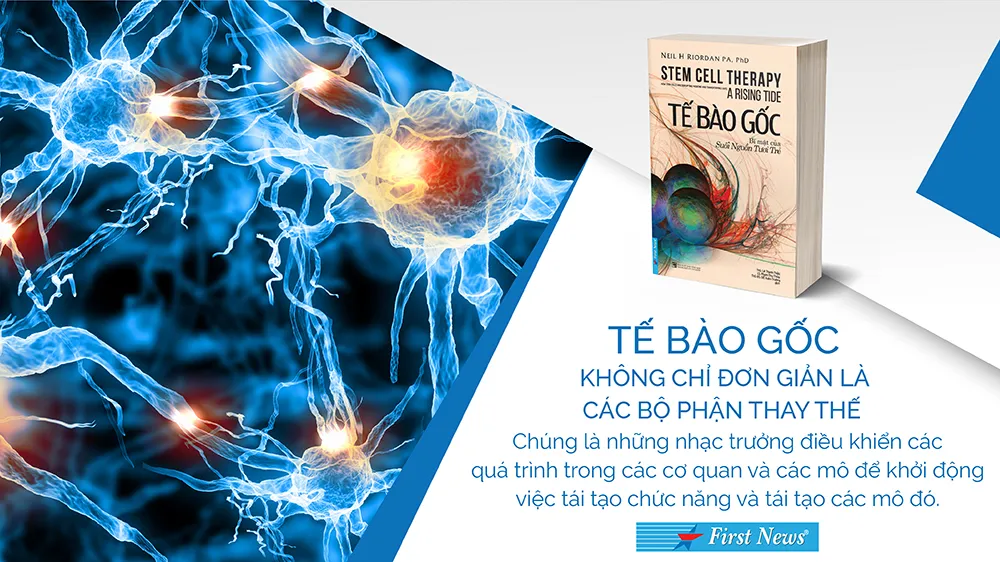 Tế bào gốc - Bí mật của suối nguồn tươi trẻ ảnh 2