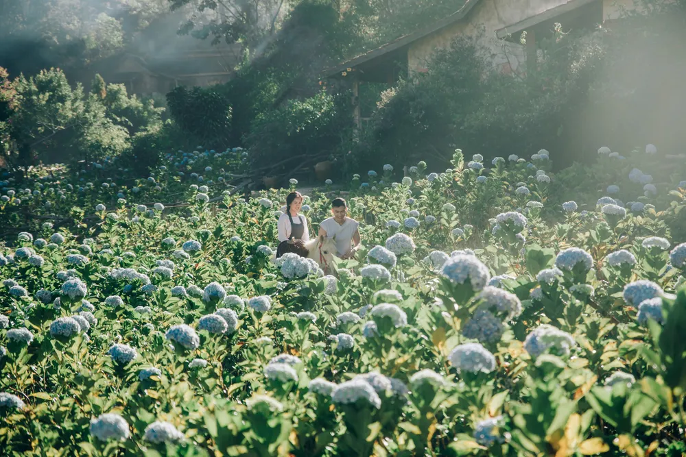 Võ Hạ Trâm thể hiện hạnh phúc viên mãn trong MV mới quay ở Đà Lạt ảnh 5