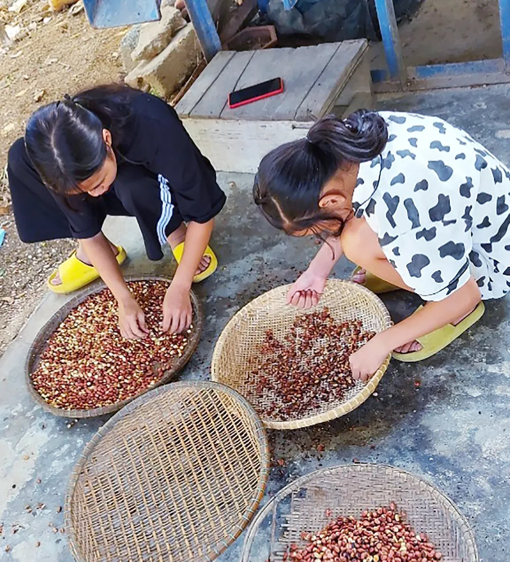 TPHCM tiếp nhận 5 tấn lương thực, thực phẩm từ người dân Huế ảnh 8