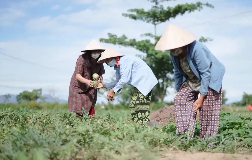 Lắng đọng ân tình người miền Trung ảnh 3