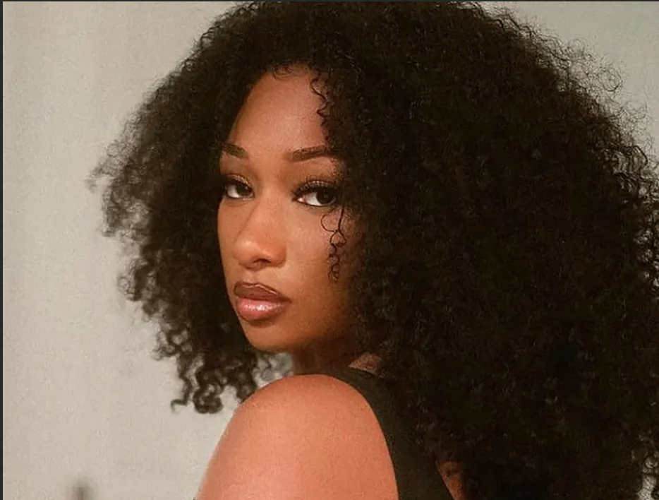 Siêu hit của năm 2021 từ DJ Snake, Lisa, Megan Thee Stallion, Ozuna chính thức ra mắt ảnh 2