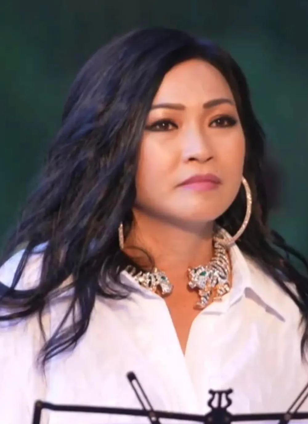 Đêm nhạc cộng đồng “Nối vòng tay lớn”  ảnh 10