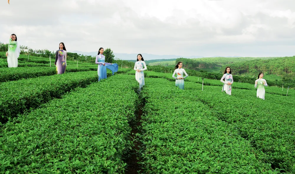 Dự án "Lụa hát trên vai" của Trung Đinh sẽ đến Bảo Lộc