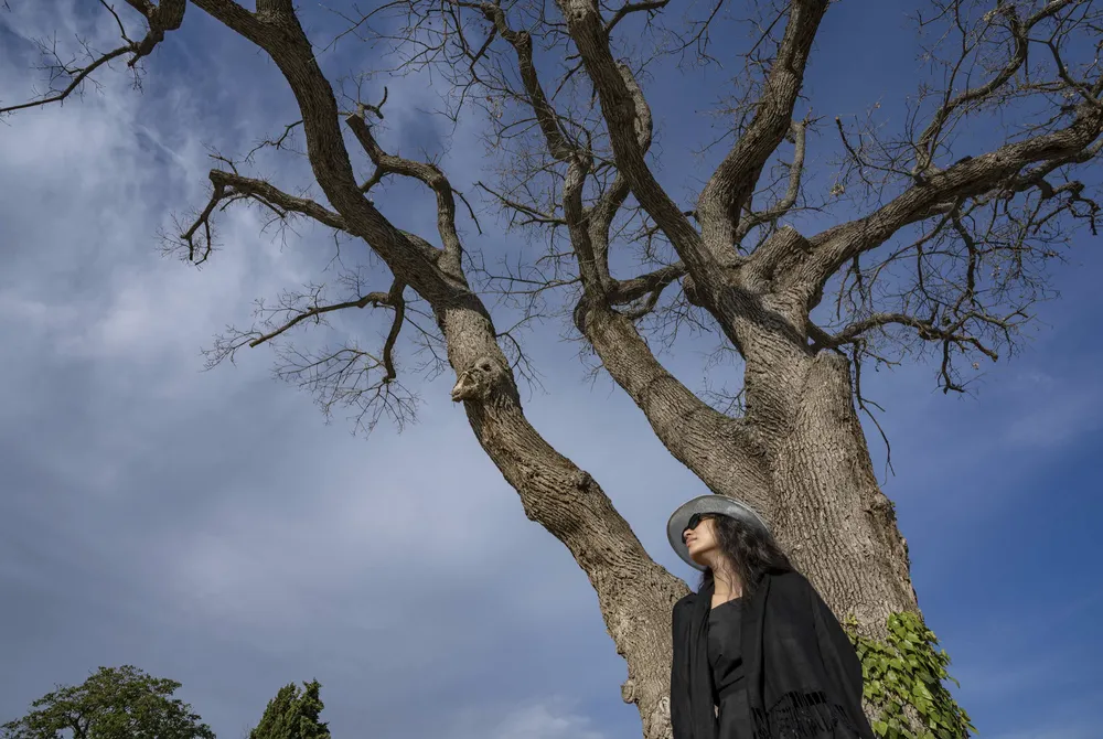 Tia-Thủy Nguyễn mang triển lãm “Hoa đời” đến Pháp