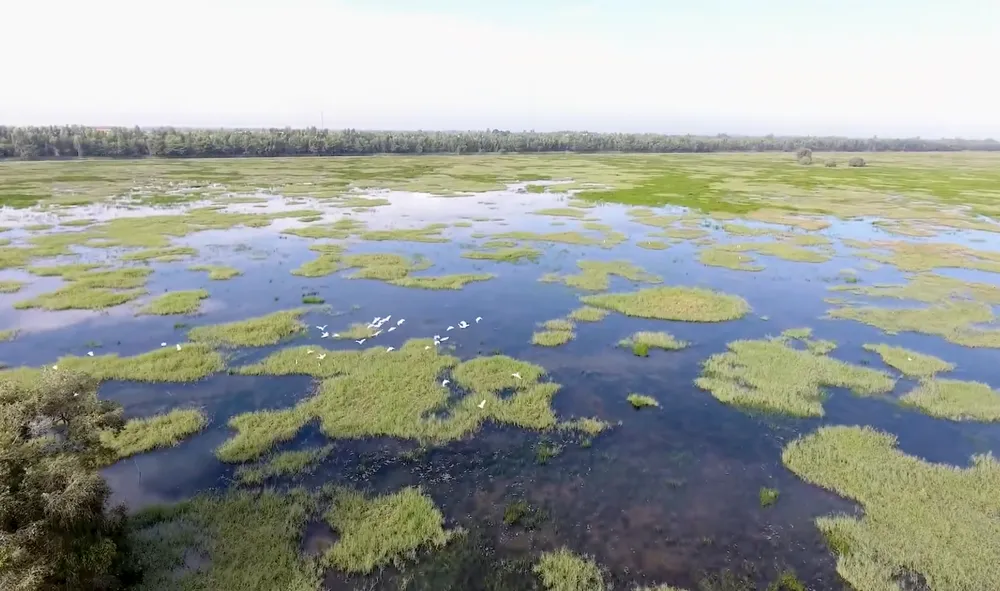 Miền châu thổ trù phú, hào sảng trong MV mới của Nguyễn Phi Hùng