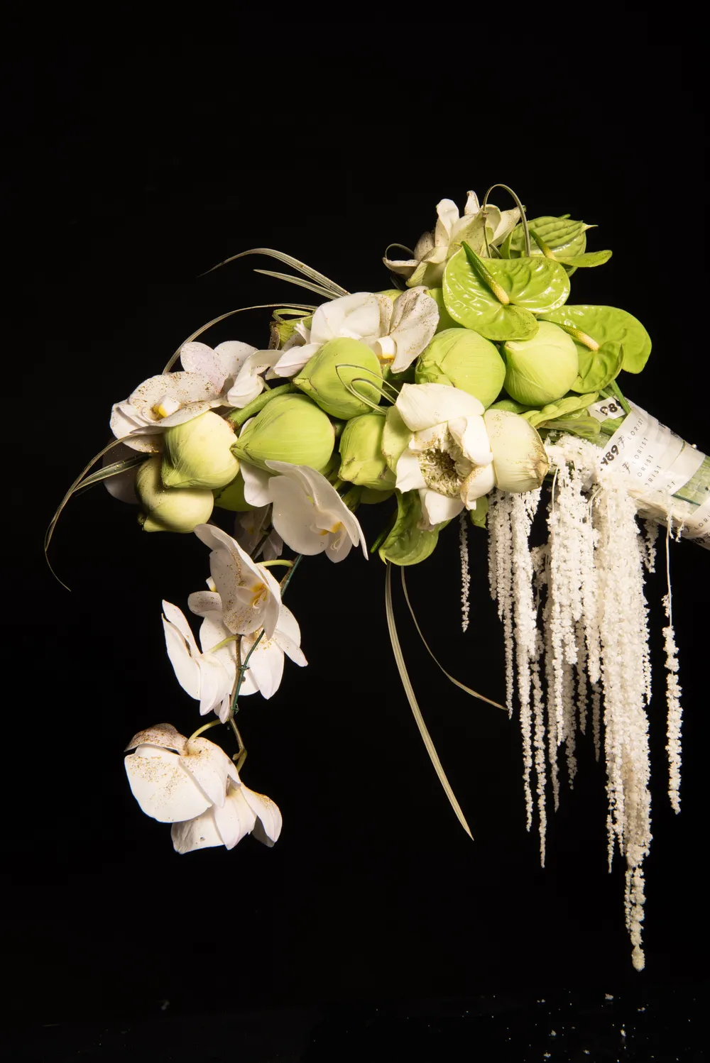 HOA ÄÄNG QUANG CHO HOA Háº¬U.jpg