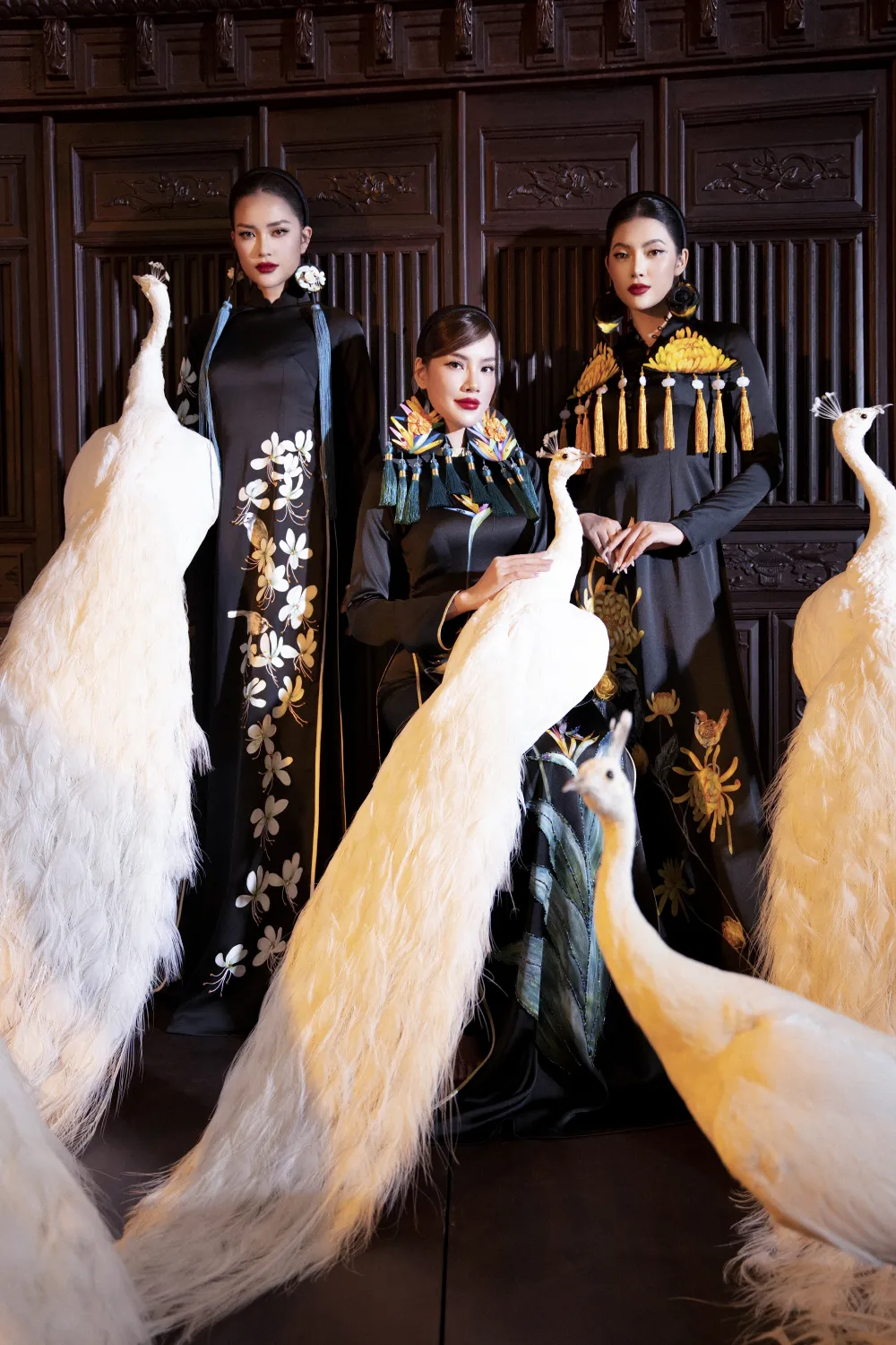 50 MÃA HOA (5).jpeg