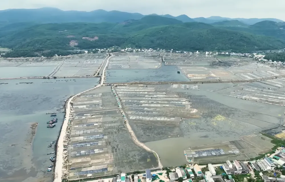 Ảnh chụp Màn hình 2025-07-20 lúc 11.02.23.png