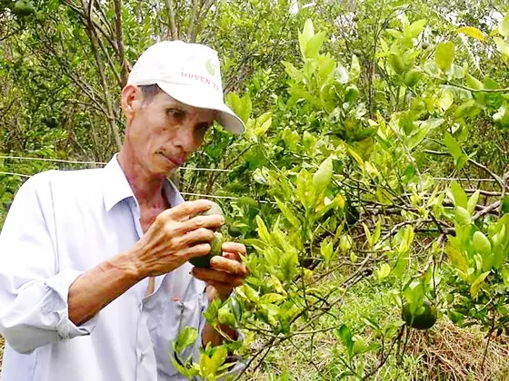 Điểm tin SGGP Online ngày 09.07.2018