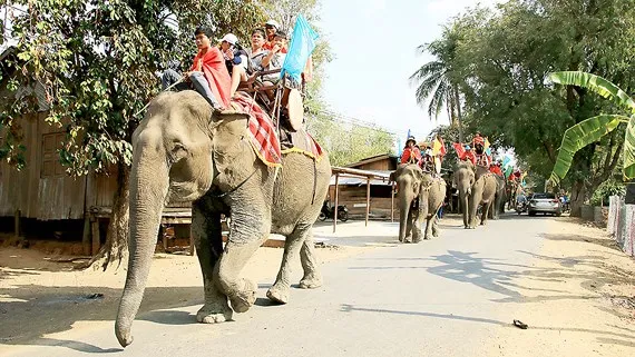 Điểm tin SGGP Online ngày 10.08.2018