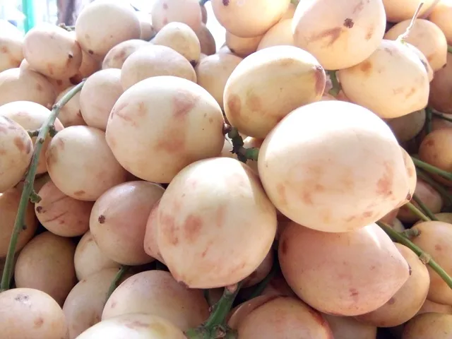 Hấp dẫn trái cây tươi ngon của Nam bộ ảnh 11