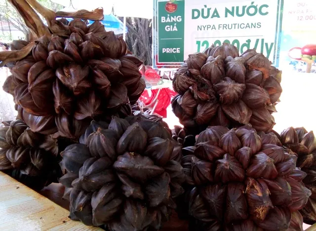 Hấp dẫn trái cây tươi ngon của Nam bộ ảnh 13