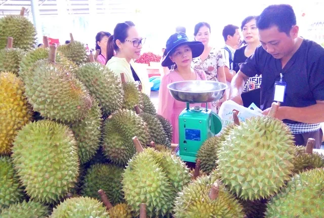 Hấp dẫn trái cây tươi ngon của Nam bộ ảnh 3